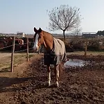 Palegry D'hotes 4* Perpignan