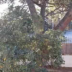Palegry D'hotes Bed & Breakfast