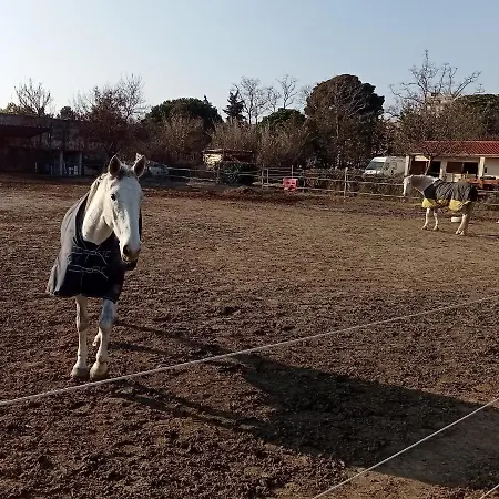 Palegry D'hotes Bed and breakfast