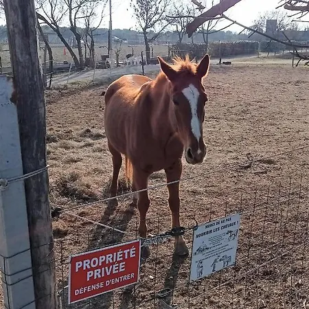 Palegry D'hotes לינה וארוחת בוקר פרפיניין