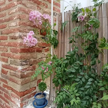 Palegry D'hotes פרפיניין