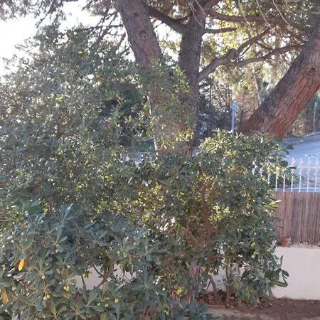 Palegry D'hotes לינה וארוחת בוקר