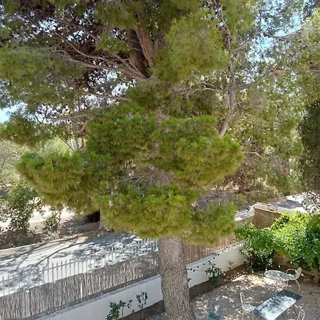 Palegry D'hotes לינה וארוחת בוקר