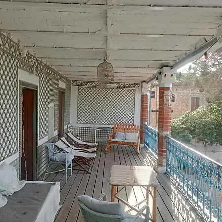 Palegry D'hotes פרפיניין